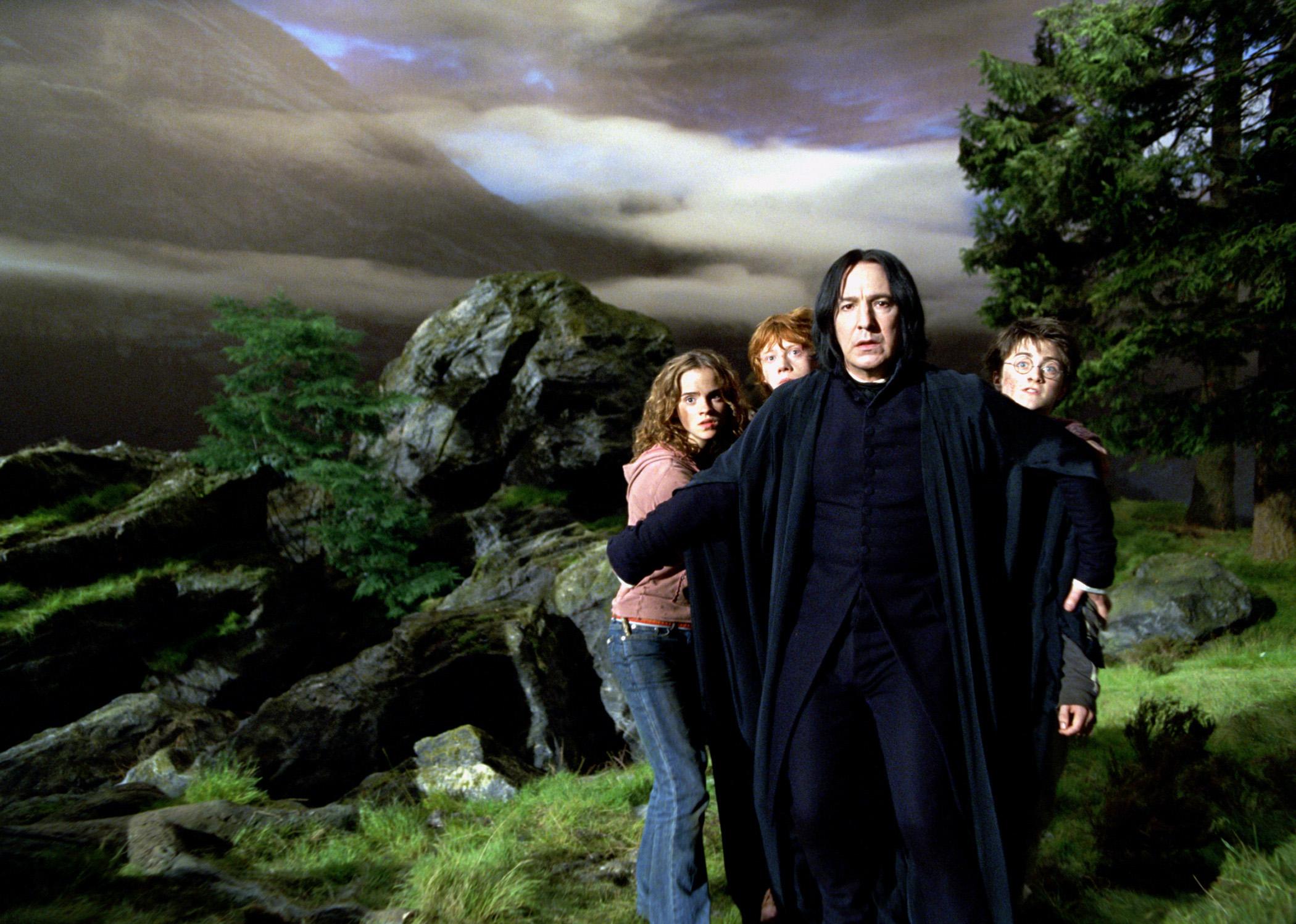 This Snape's Potions 101 Quiz Will Tell You Your TRUE Hogwarts House