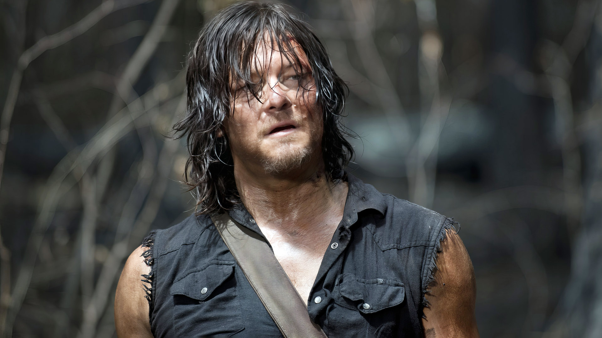 10 Best Shows To Watch if You Like The Walking Dead, Ranked