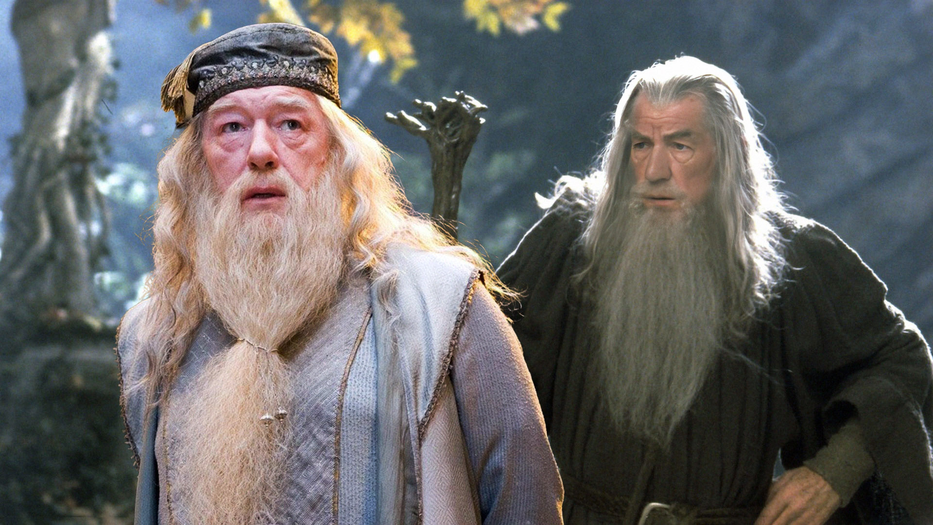 The Hilarious Outcome of Gandalf and Dumbledore Doppelganger Situation