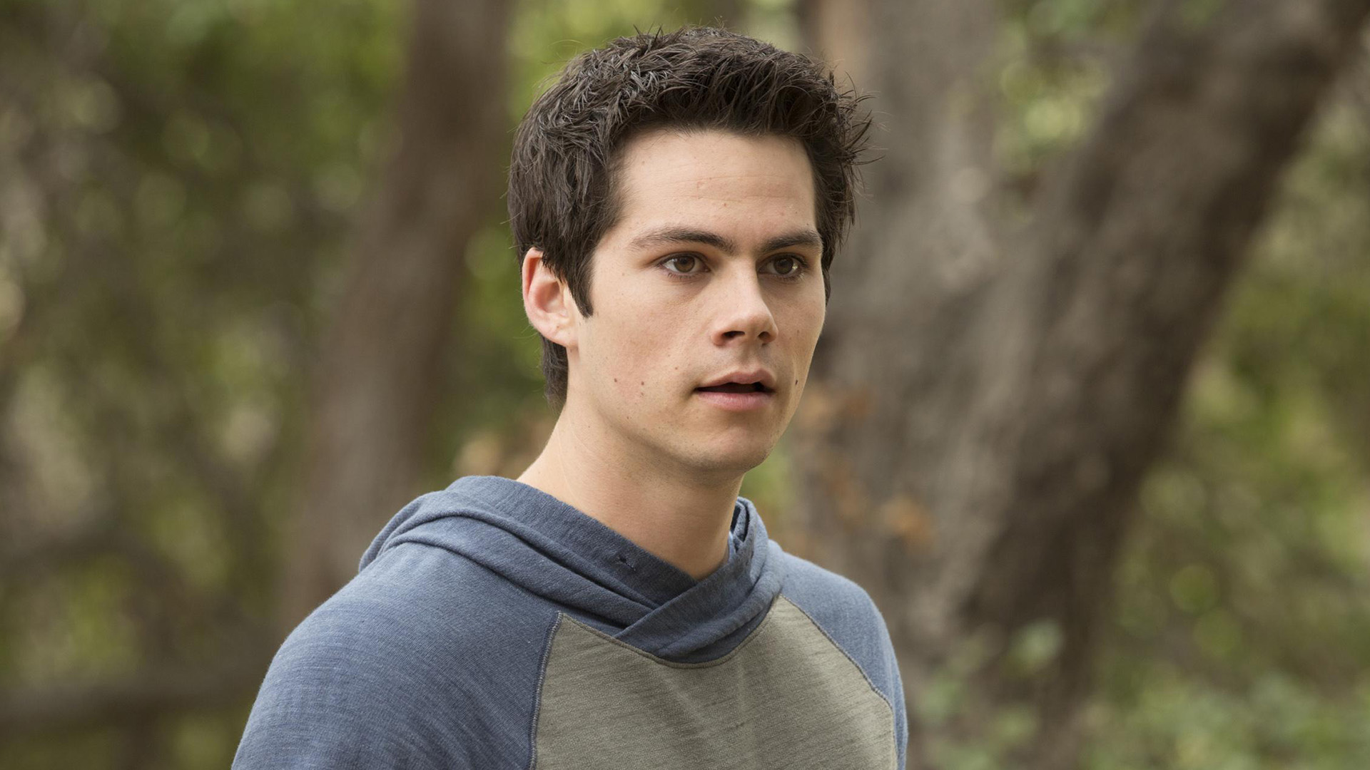 Stiles' Haircut Change Still Bugs Teen Wolf Fans After All These Years
