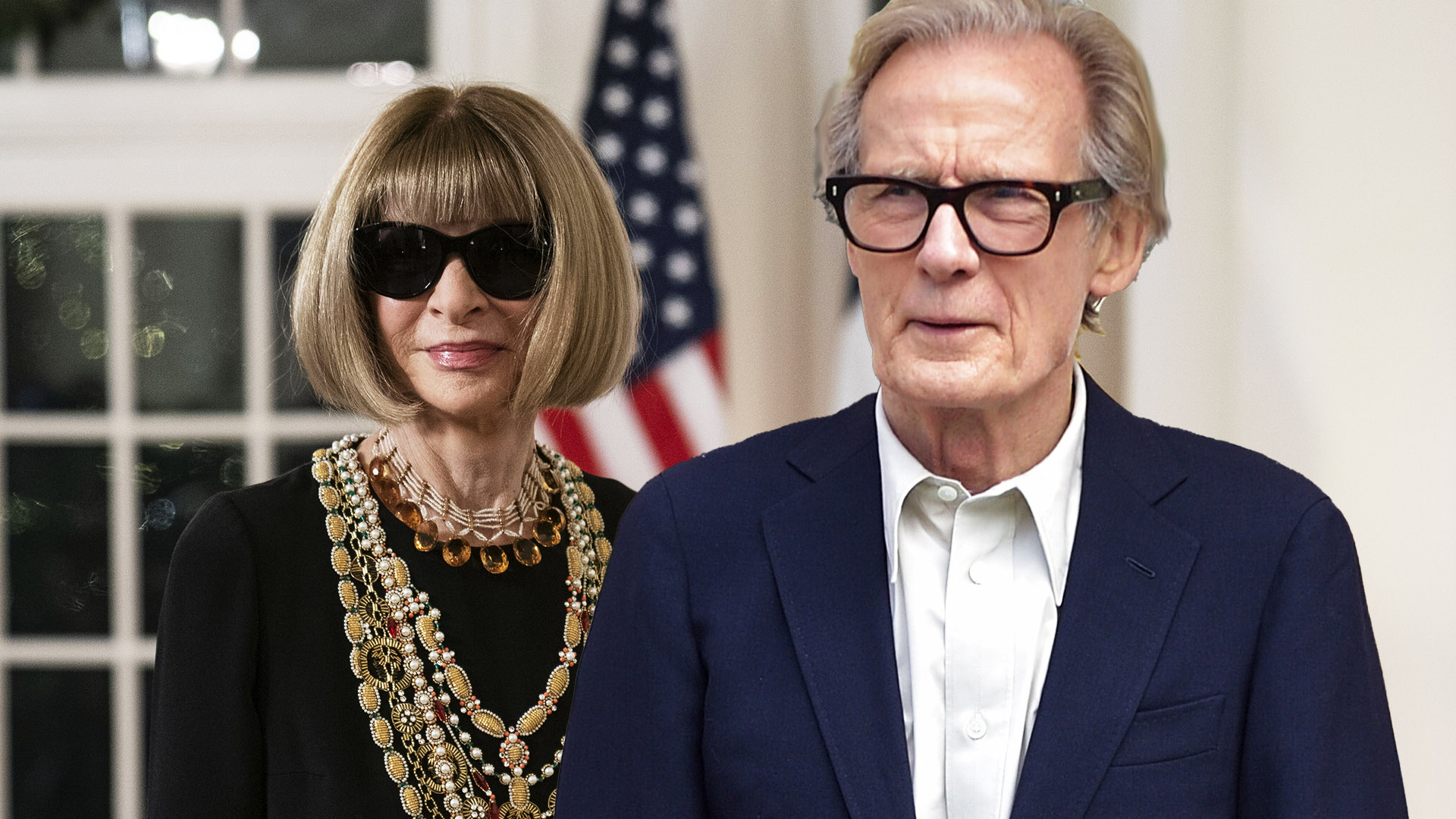 5 Reasons We Need Bill Nighy and Anna Wintour to Officially Date, ASAP!