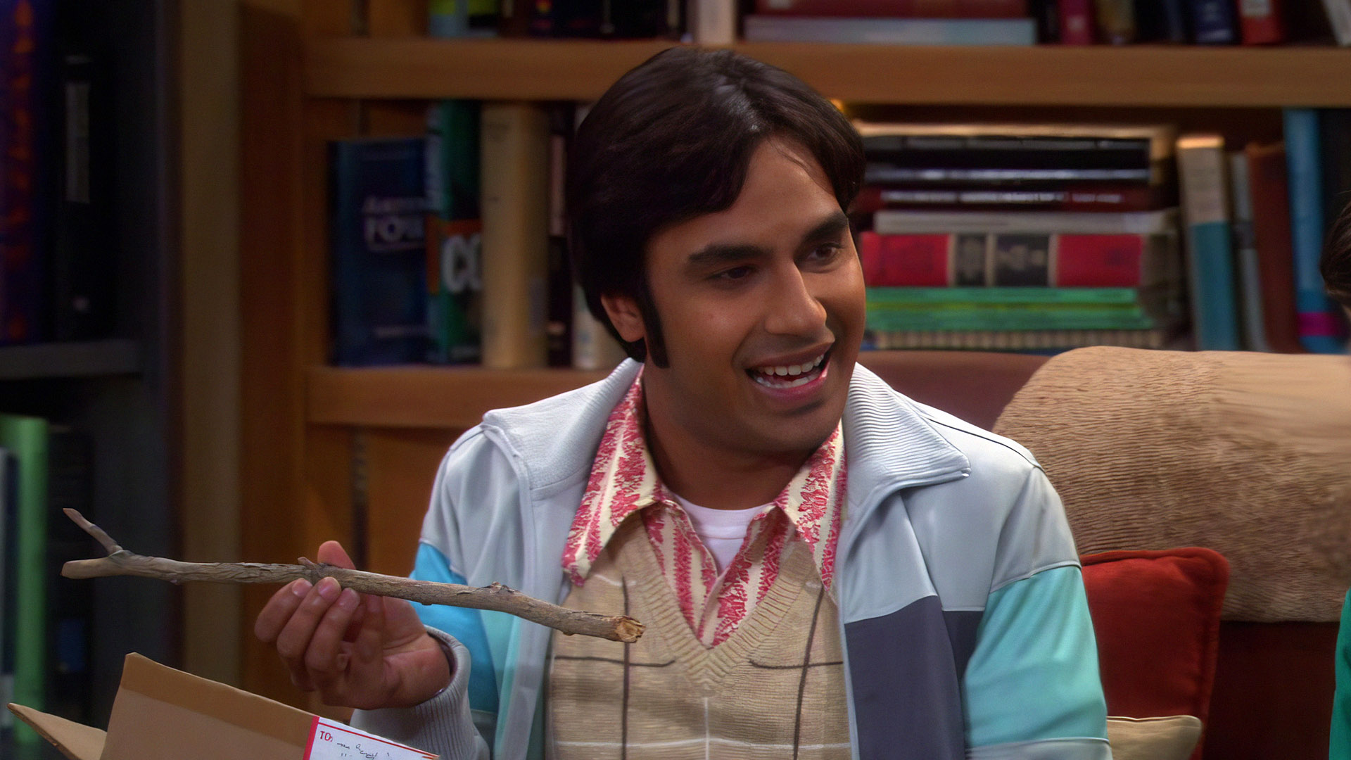 TBBT Fans Agree That This Character Was the Best Girlfriend for Raj