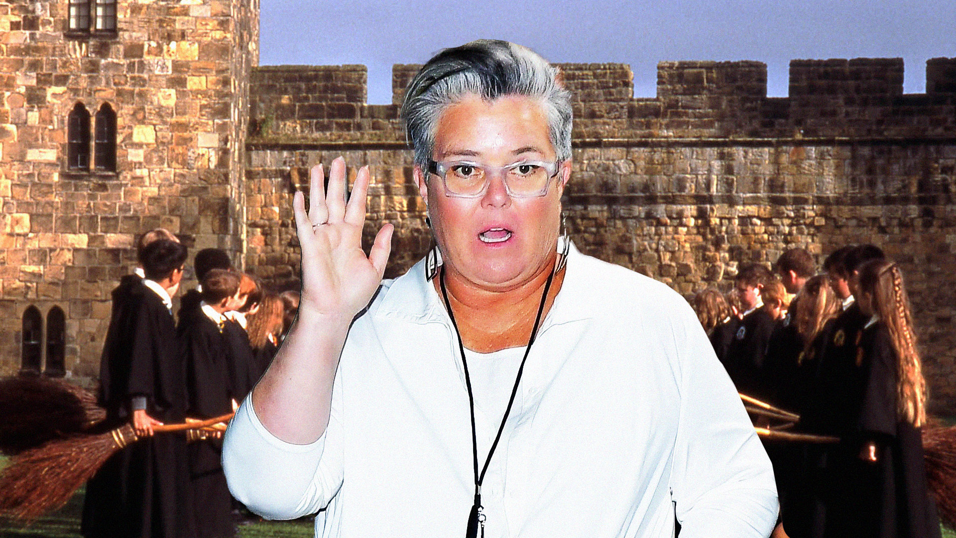 Rosie O'Donnell Wanted to Play This Harry Potter Character So Much, She Offered to Do It For Free