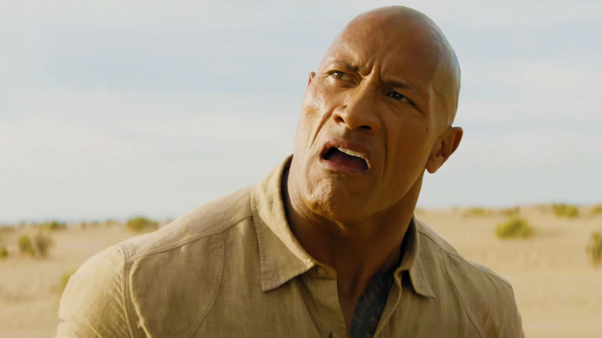 The Rock's Biggest Regret? Turning Down $1 Billion Franchise That Went to Mark Wahlberg