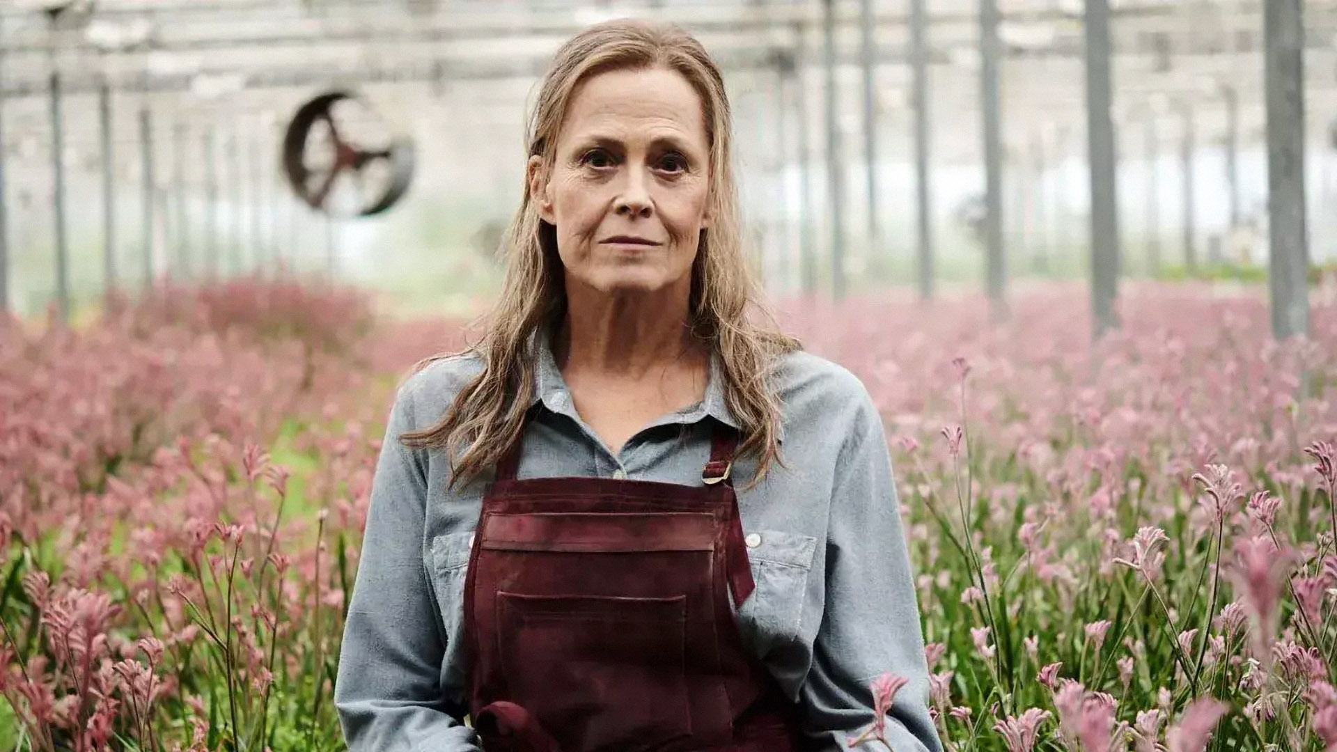 Will Prime Renew The Lost Flowers Of Alice Hart For Season 2?