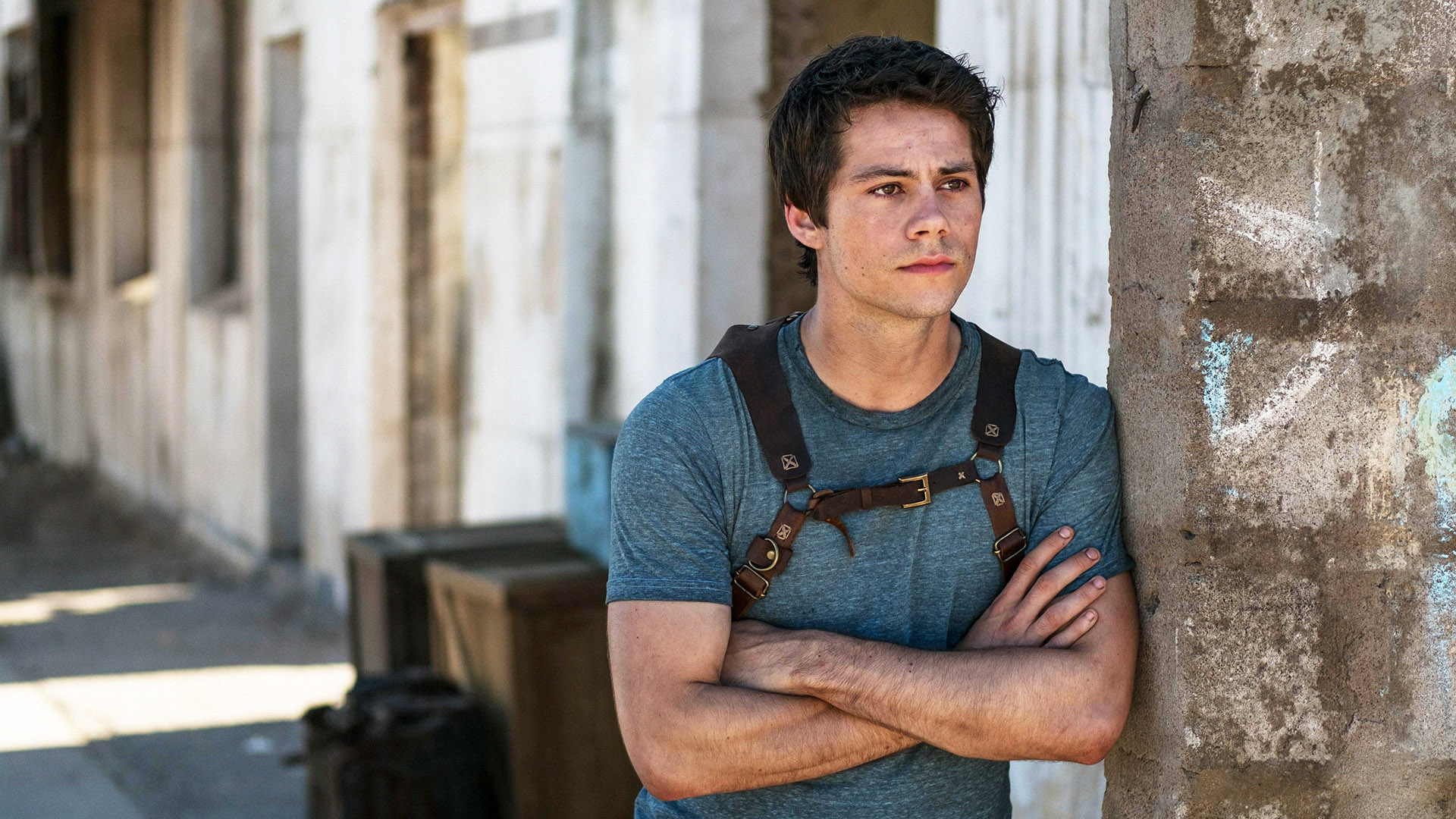 Is There Still Hope for Maze Runner 4? Here's Everything the Cast Said