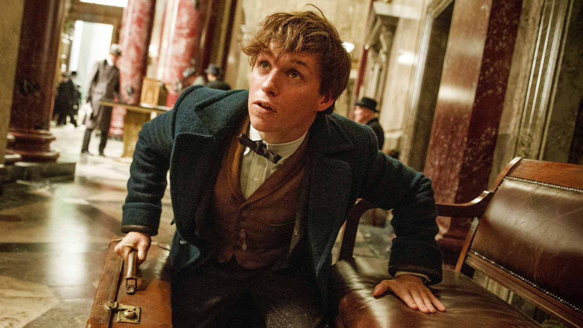 David Yates Confirms What We Already Suspected About Fantastic Beasts