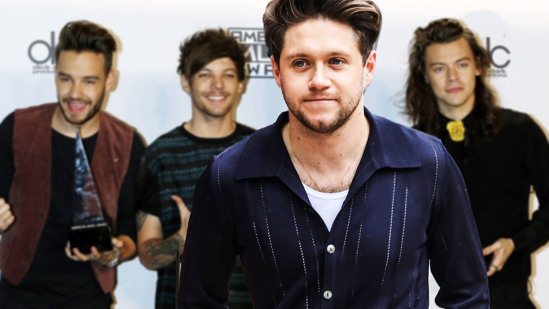 Niall Horan Adds Fuel to the Fire of One Direction Reunion Rumors