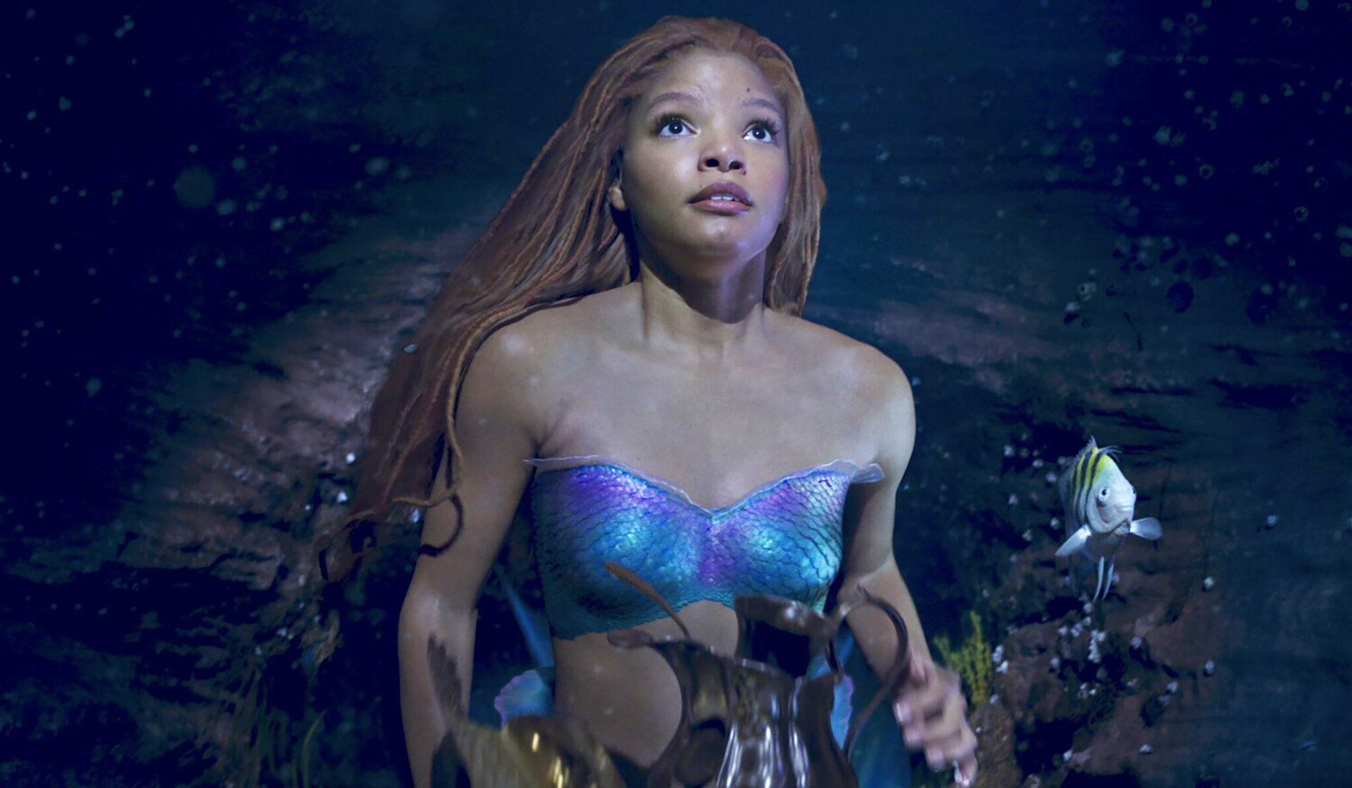 5 Biggest Celebs Who Publicly Defended The Little Mermaid Remake