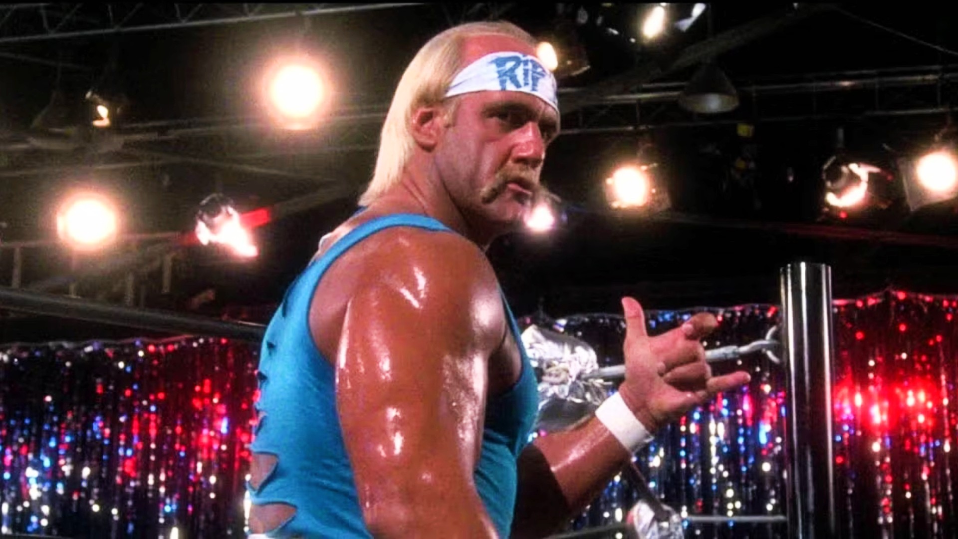 Hulk Hogan's Widow Sky Daily Plotting Lawsuit After His Death