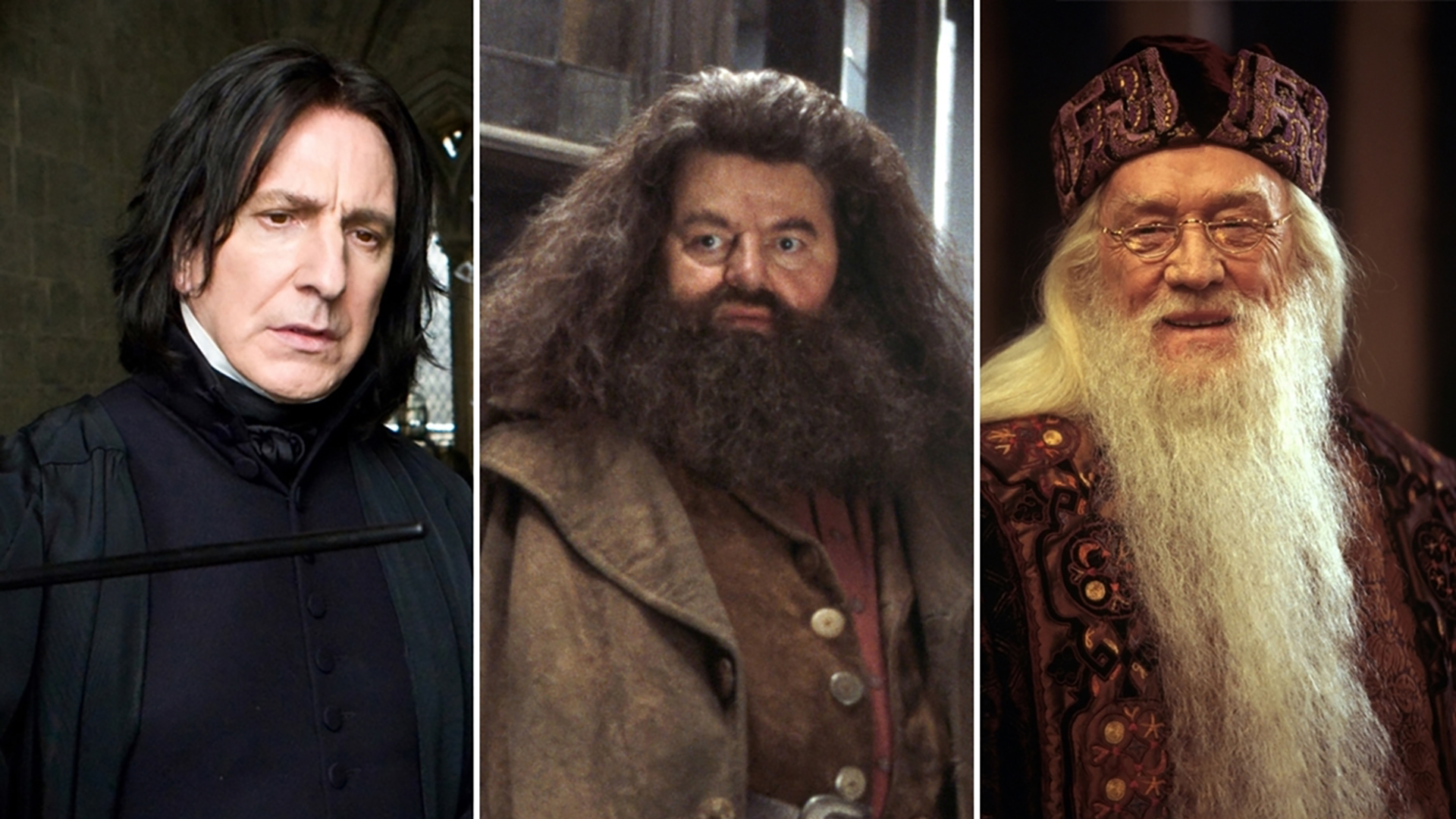 Harry Potter Cast Tragedies: All the Actors Who Have Died