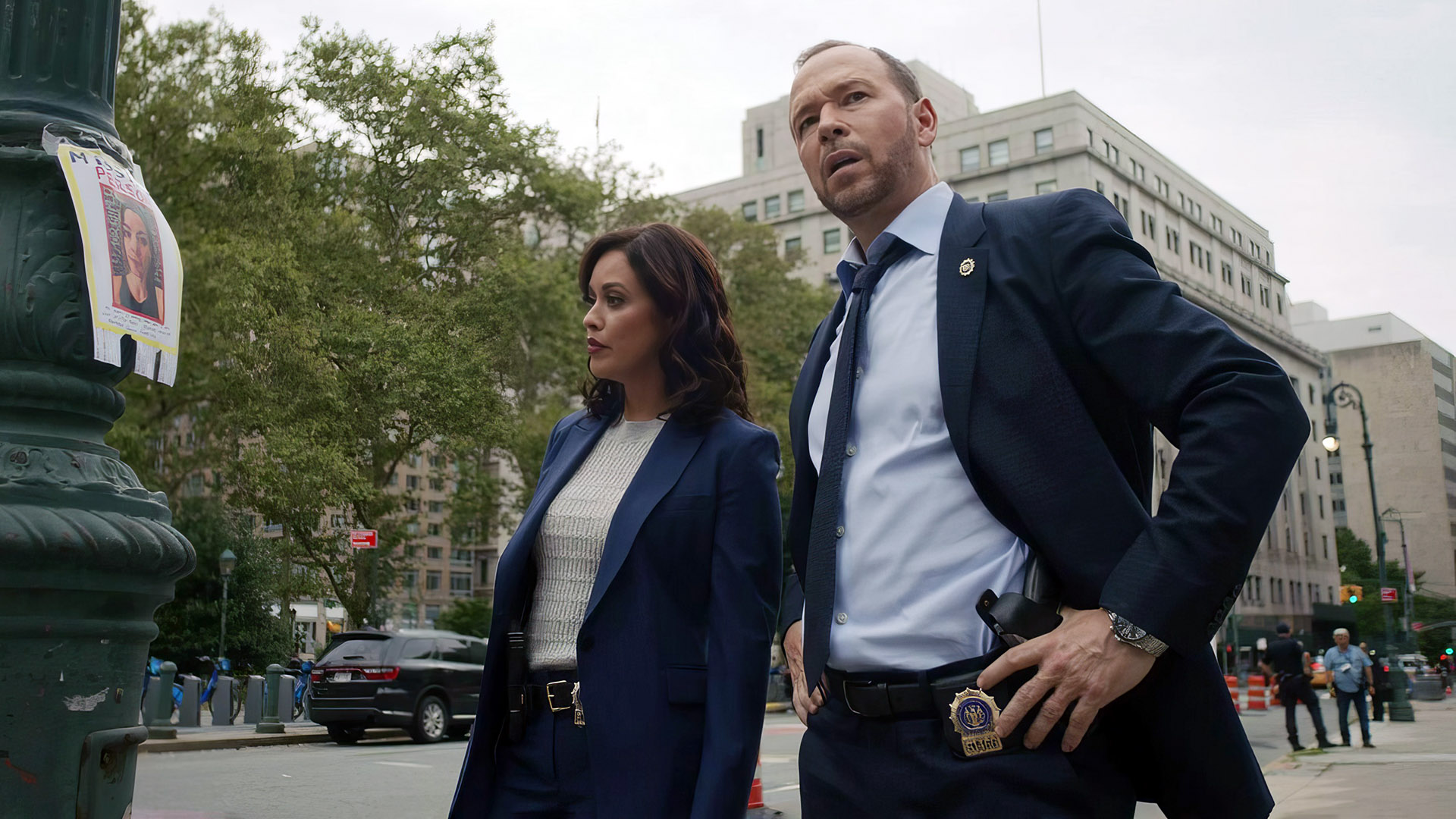 15 Best Shows To Watch if You Like Blue Bloods, Ranked