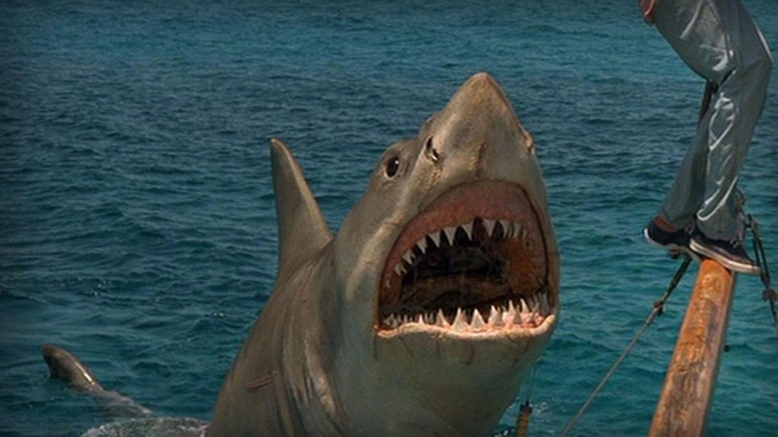 2% on Rotten Tomatoes: Jaws 4 Was Worse Than You Remember - image 1