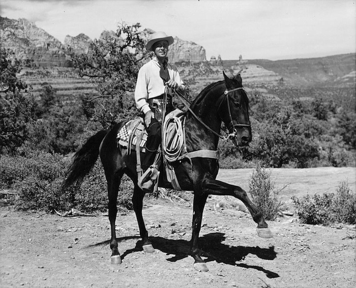 Alan Ladd's Mysterious Death Still Doesn't Add Up - image 2
