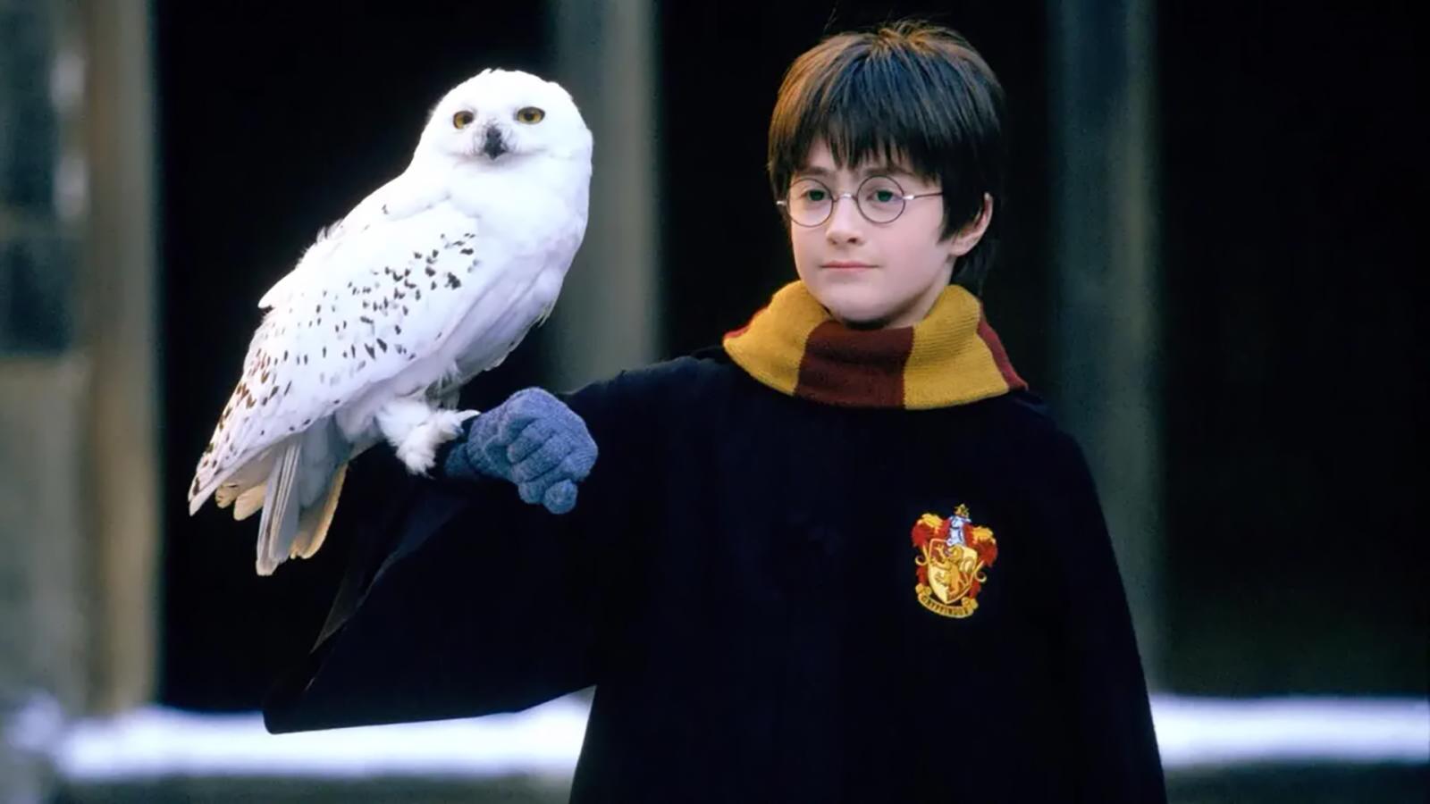 There's a Hidden Meaning in Harry Potter Character Names You Probably Missed - image 1