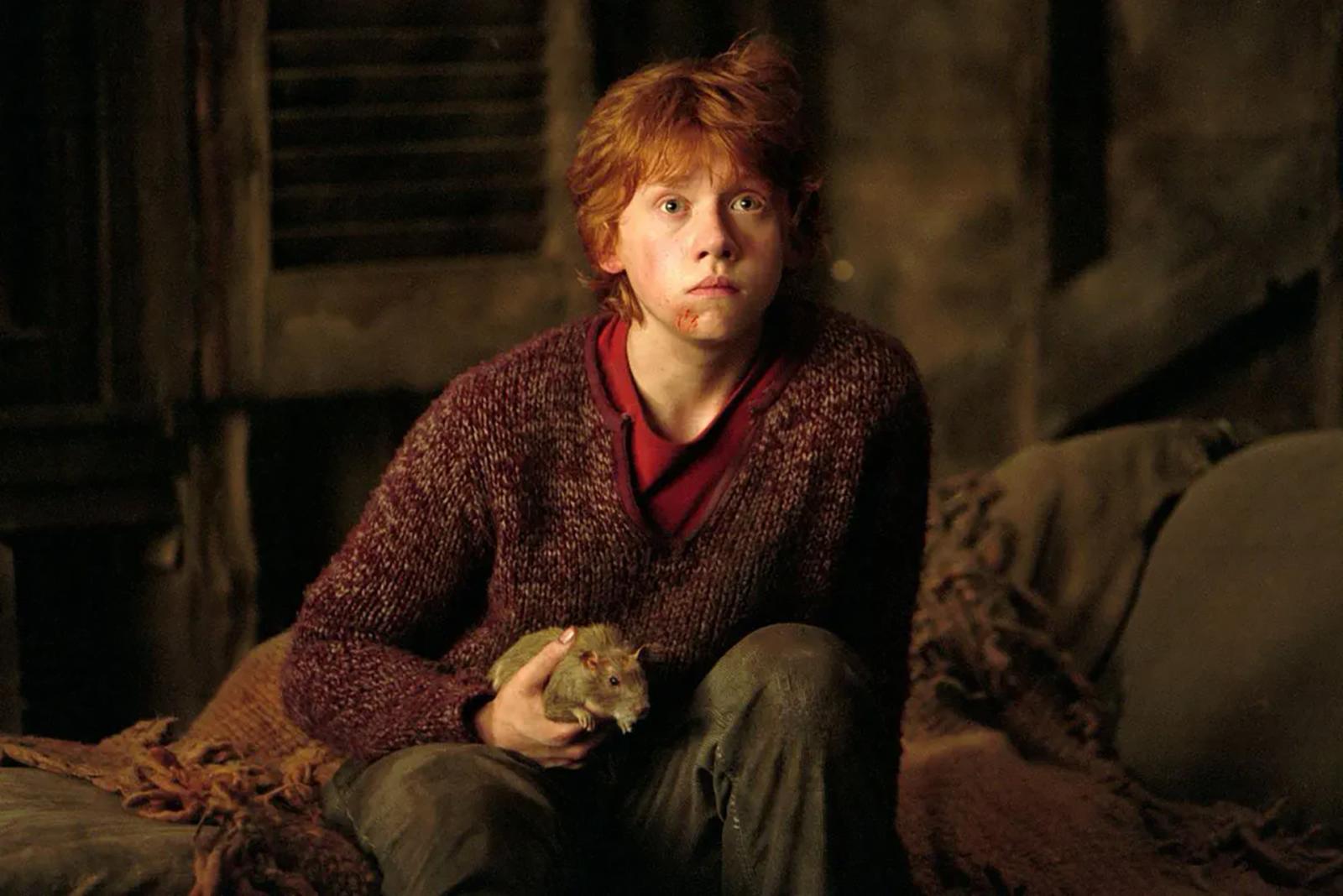 15 Things That Happened to Harry Potter Characters After The Books Ended - image 2