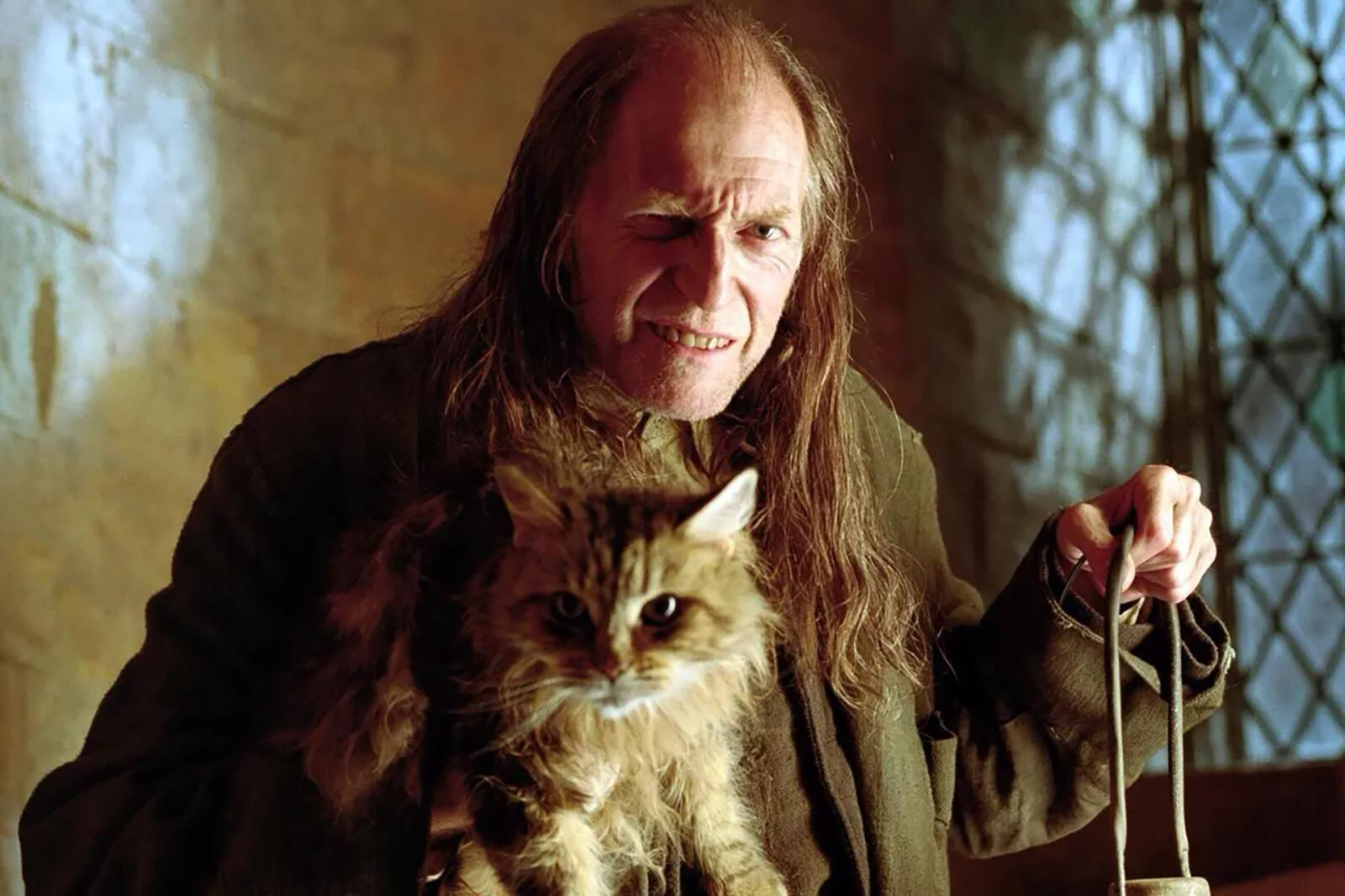 5 Important Harry Potter Characters Who Didn't Go to Hogwarts - image 4