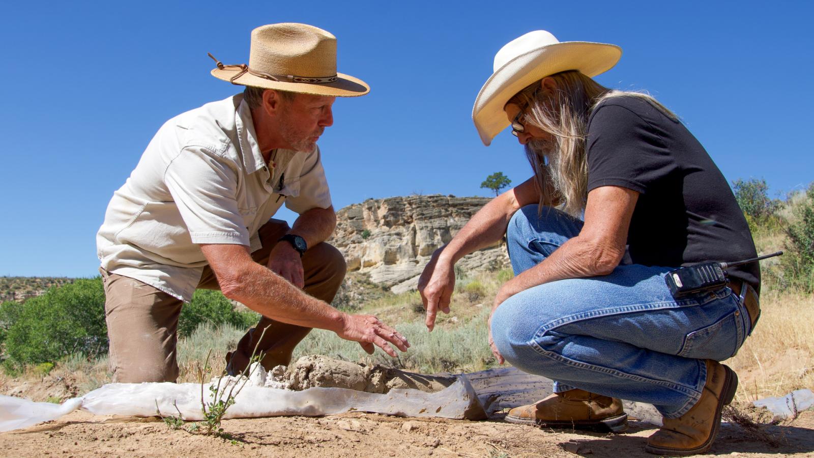 How Many Seasons Does Mystery at Blind Frog Ranch Have? - image 1