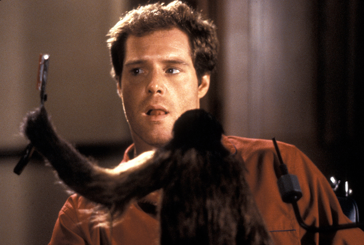 5 Horrifying Monkey Movies You Might Have Missed - image 2