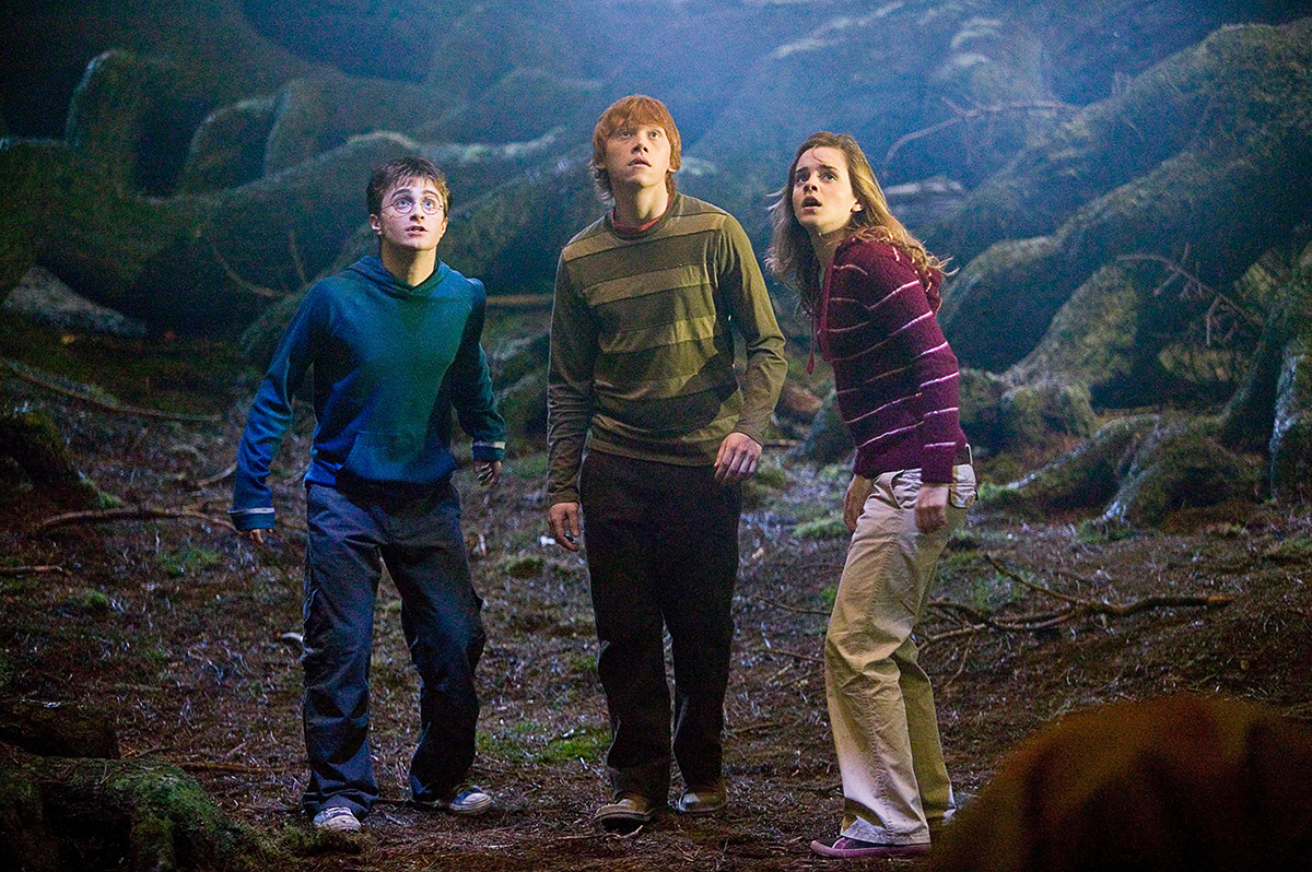 8 Burning Questions About Hermione Granger We Still Can’t Figure Out - image 4