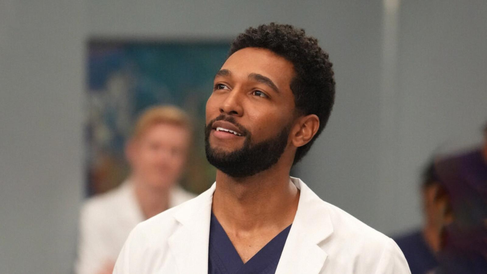 4 Grey's Anatomy Actors Not Coming Back for Season 20 - image 4