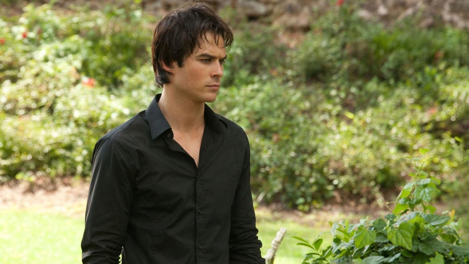 10 Hottest The Vampire Diaries Characters, Ranked by Reddit - image 10