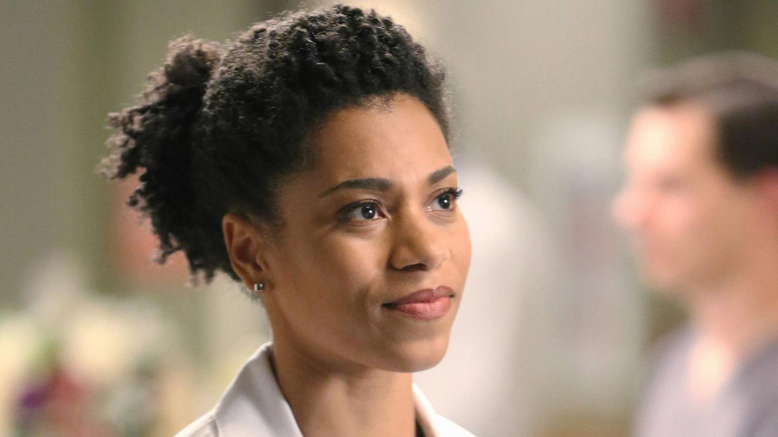 4 Grey's Anatomy Actors Not Coming Back for Season 20 - image 3