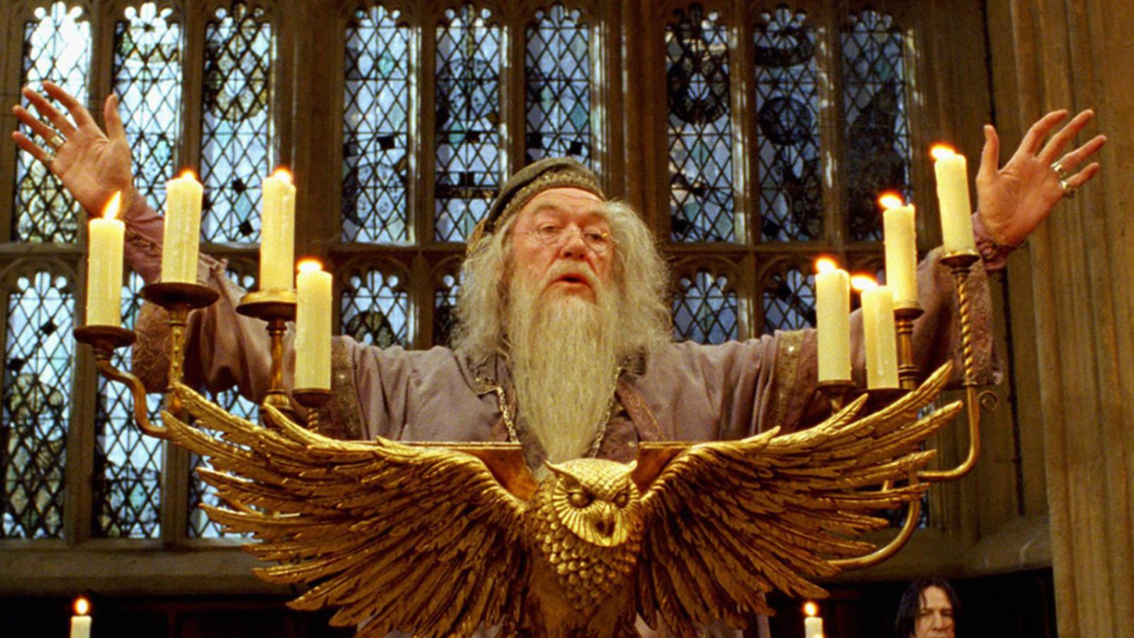 6 Worst Casting Decisions in Harry Potter Movies, Ranked by Reddit - image 3