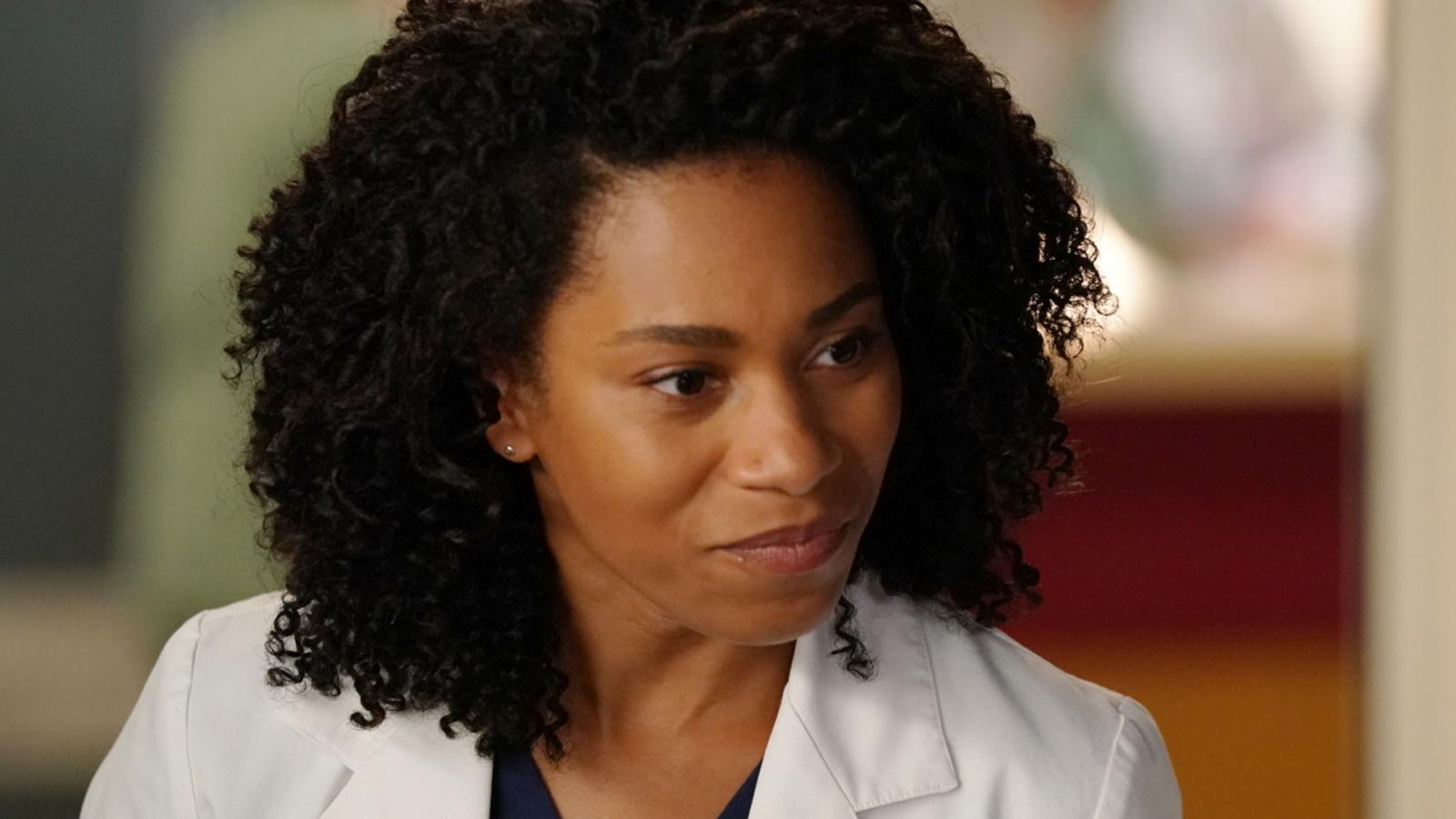 With Grey's Anatomy Season 20 Delayed, These 4 Characters Won't Be Back - image 4