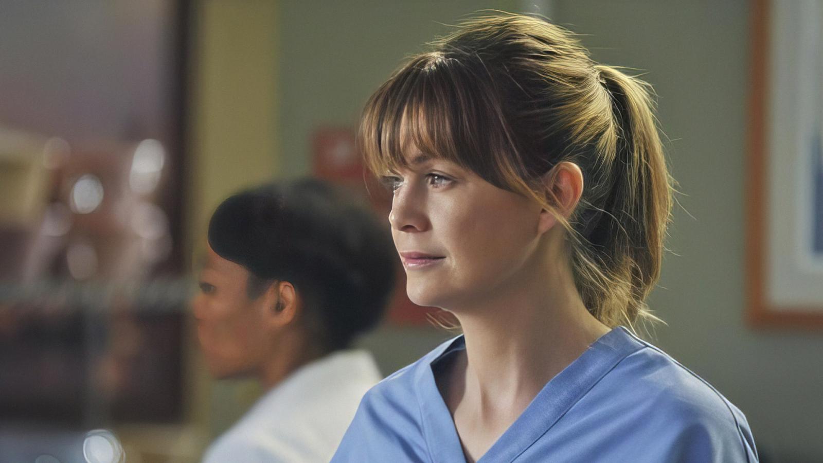 Grey's Anatomy 5 Most Divisive Characters Fandom Grew to Love - image 5