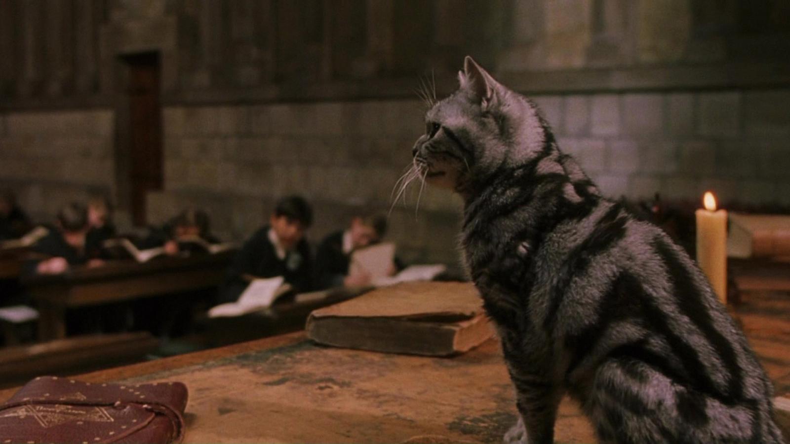 6 Sorcerer's Stone Movie Scenes That J.K. Rowling Didn't Write - image 4