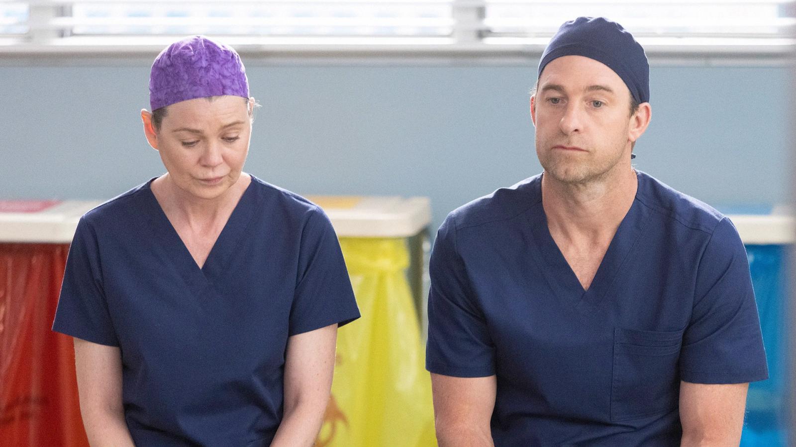 4 Grey's Anatomy Actors Not Coming Back for Season 20 - image 2