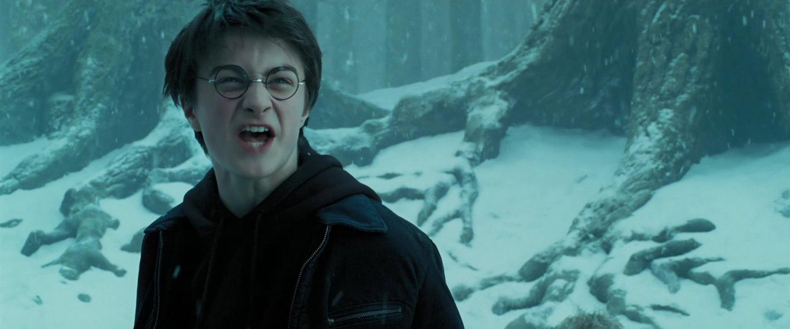 The 8 Most Overrated Moments in the Harry Potter Series - image 1