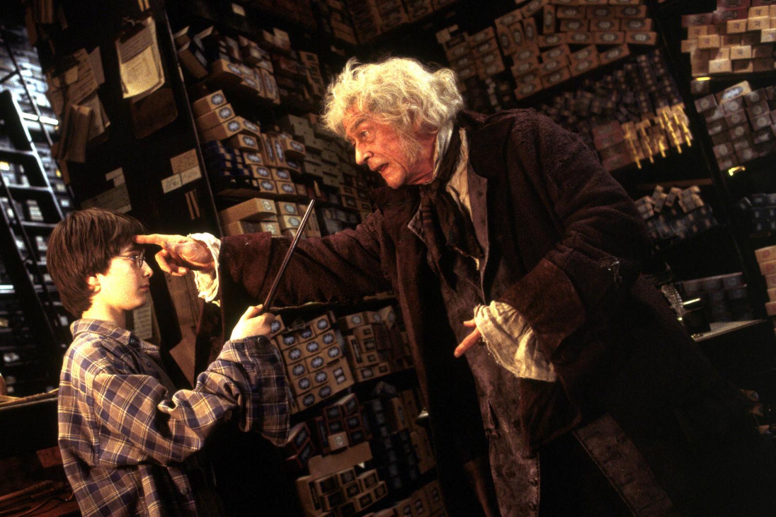 The Great Hall of the Departed: 7 Harry Potter Stars Who Have Passed Away - image 3