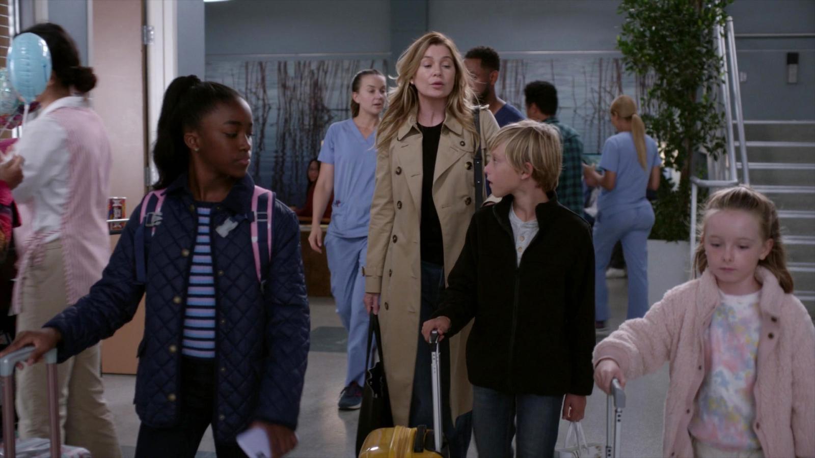 Grey's Anatomy Backlash: Fans Slam the Show's Portrayal of Women and Motherhood - image 1