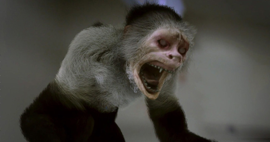 5 Horrifying Monkey Movies You Might Have Missed - image 5