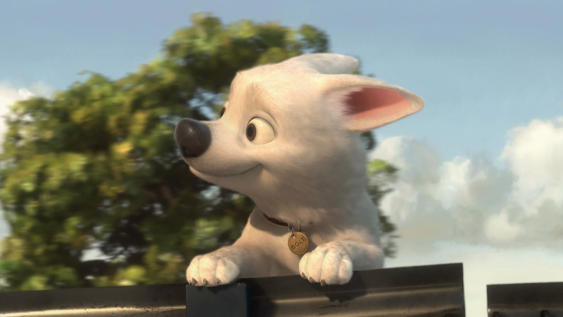 Forgotten Animated Films Worth Revisiting