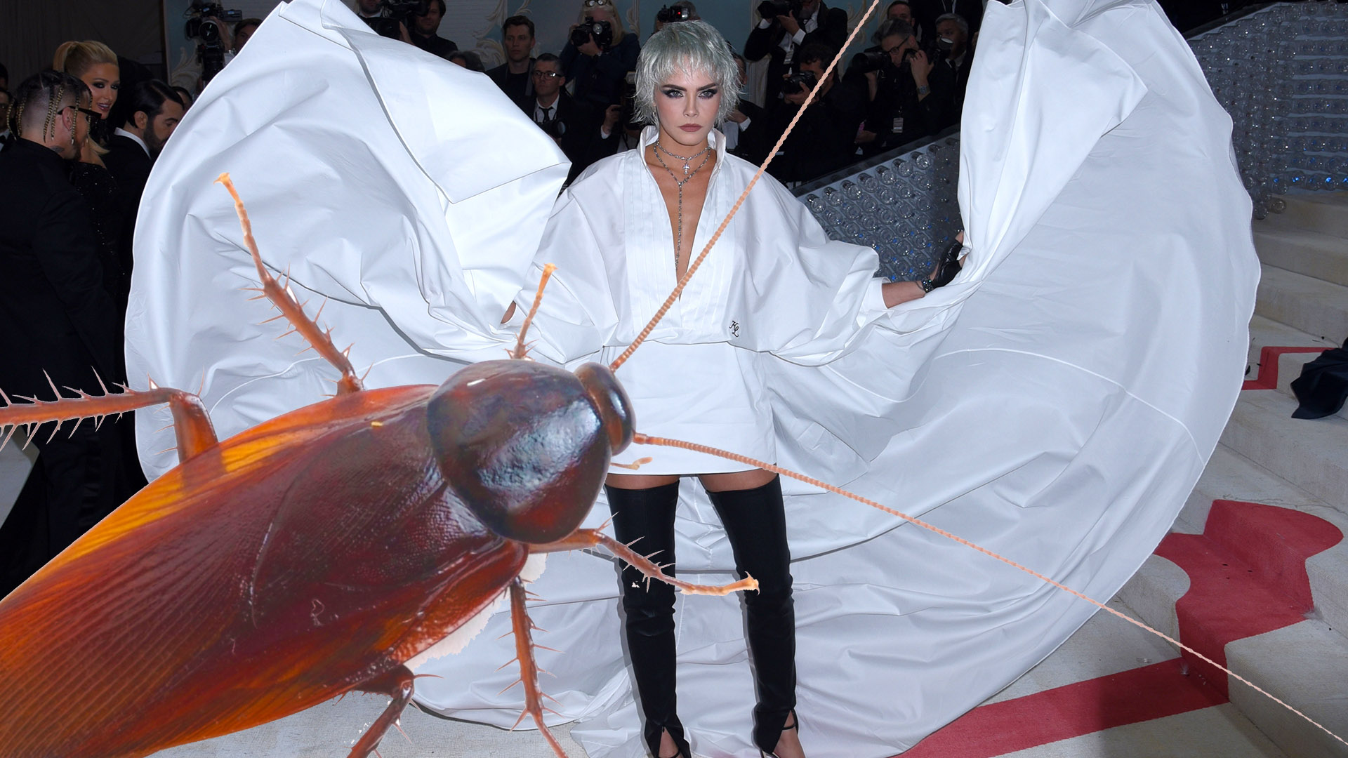 Met Gala 2023's Most Moment A Cockroach on the Red Carpet